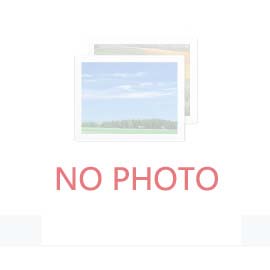 金马迎新，春节快乐！